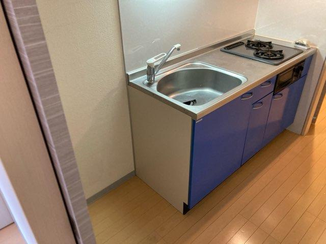 Ｄｅｌｃｃｓ綾瀬Ⅱ 9階 部屋その他