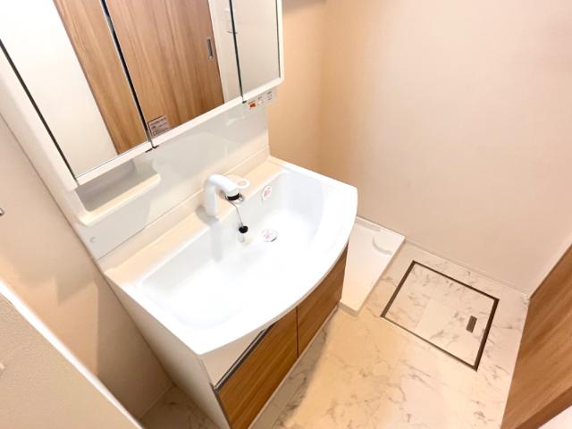 Ｃｒｅｃｉａ105号室 洗髪洗面化粧台