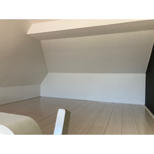 プラザ・ドゥ・シュバリエ201号室 内観