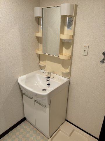 ブルーシャトー0102号室 洗面