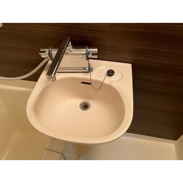 ピュア湘南102号室 浴室・洗面ボウル