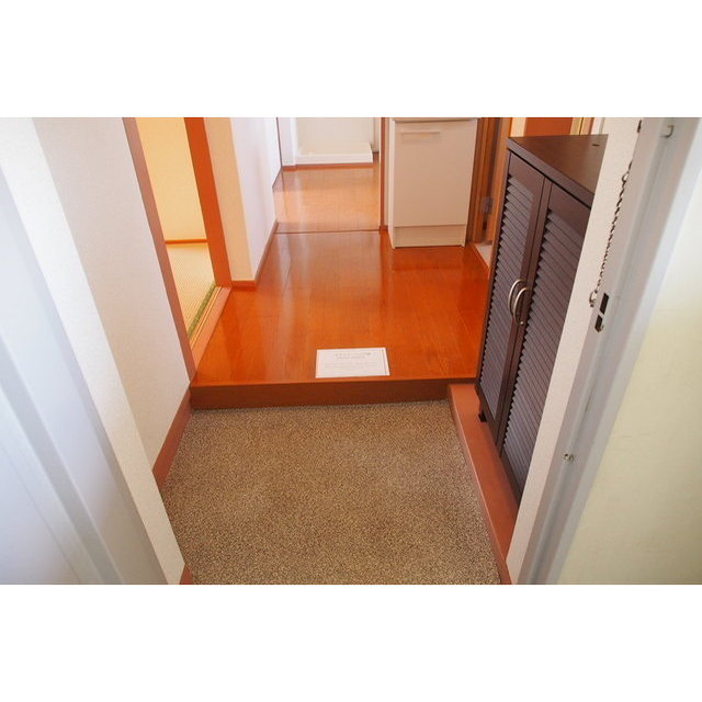 ラビアン花小金井301号室 玄関