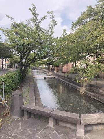 ジョイフルお花茶屋5階 部屋その他