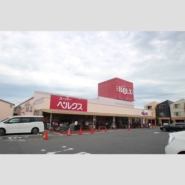 cozy　field　Ⅱ BeLX(ベルクス)足立古千谷店 (約565m)