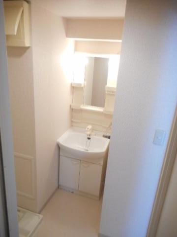 プレジールカネノ0310号室 洗面