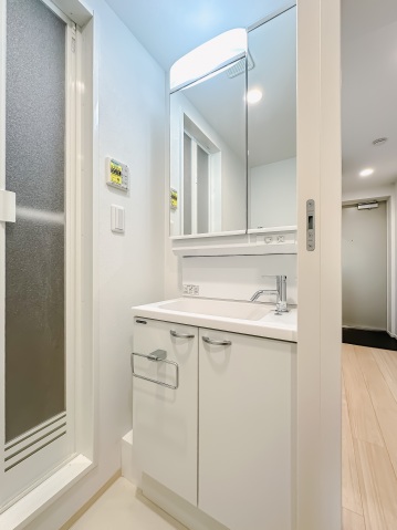 スカイコートリュクス品川大崎302号室 洗面