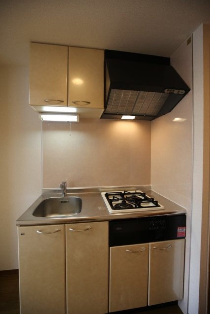 ミリオンガーデン早稲田 システムキッチン（2口ガスコンロ）