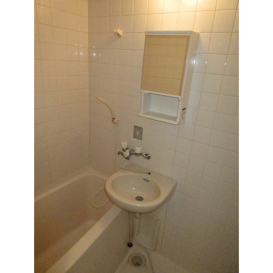 グローイングシティー大和田0307号室 内観