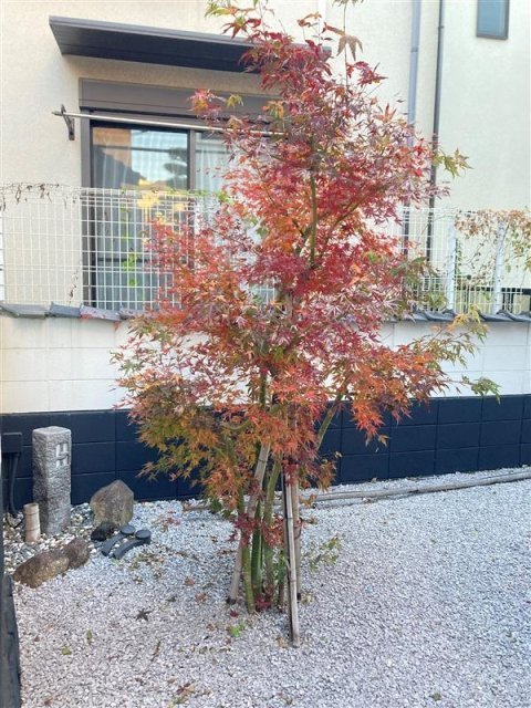 WATEI久我山2階 外観