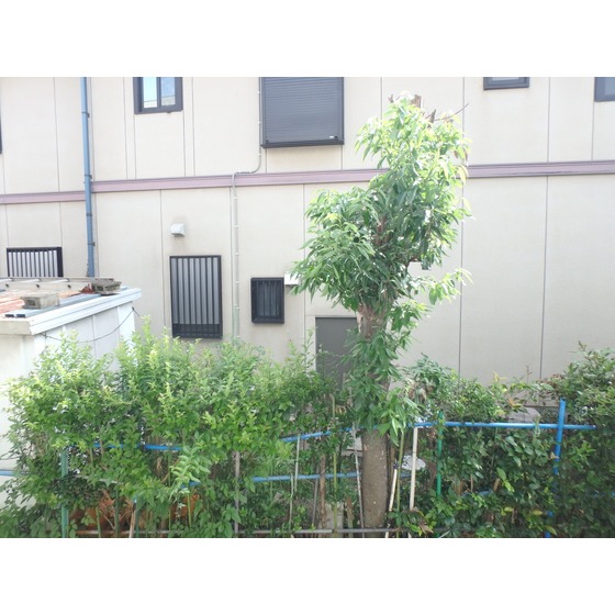 グランパークB03号室 部屋その他