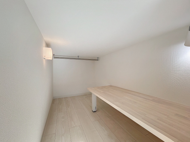 スカイルーチェ川口芝中田203号室 ロフト下収納