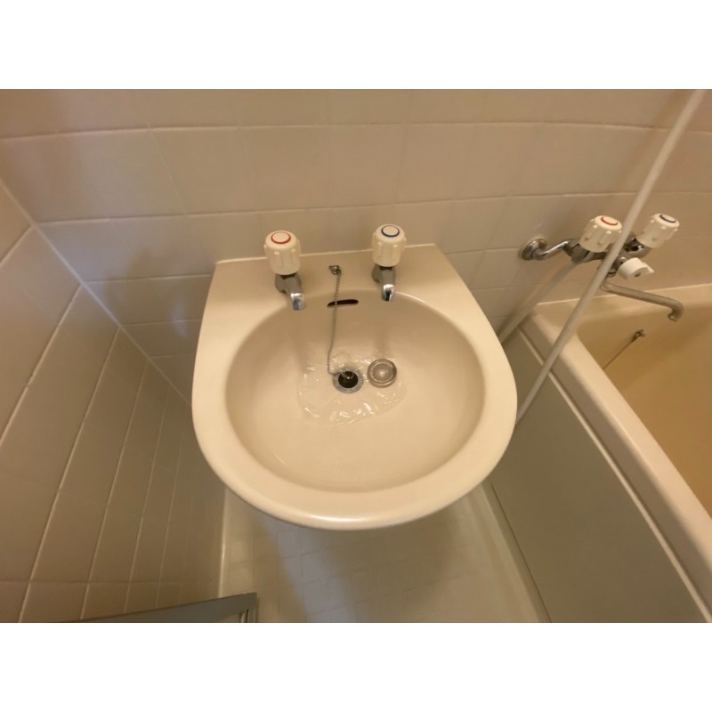 プリンス・ハイム高島 洗面