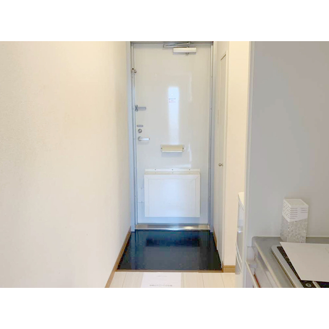 パレスカーマ 玄関