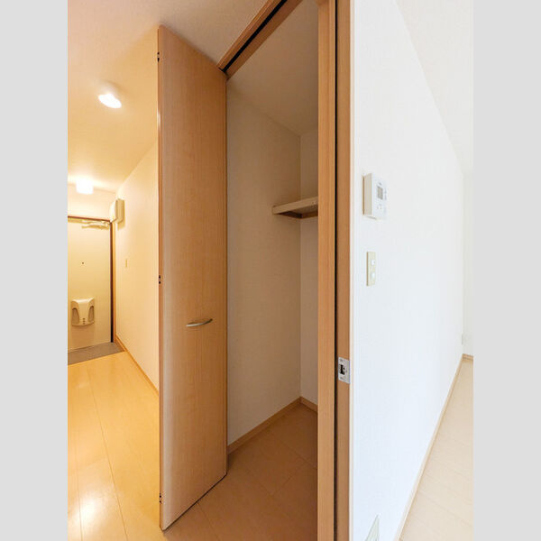 ルインズ・イン・マルヤマ　ABCDEFE103号室 収納