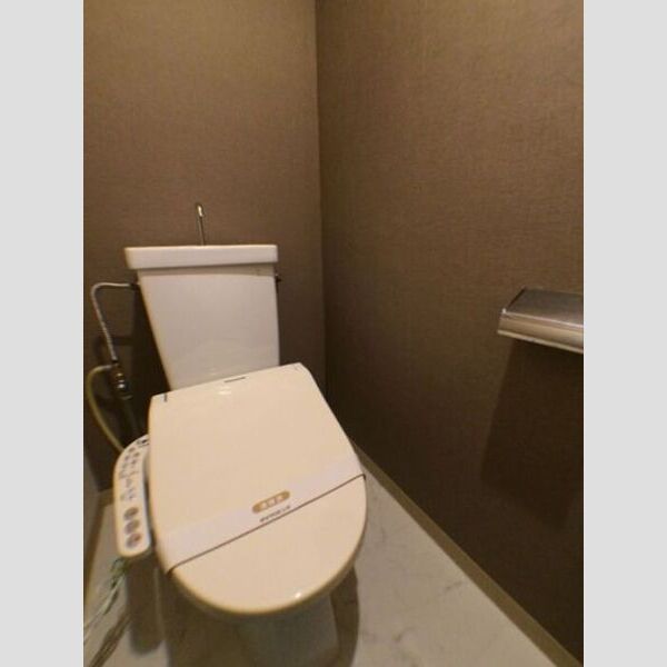 ビラ・フラワーヒル102号室 トイレ