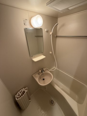 ウィステリアK204号室 洗面