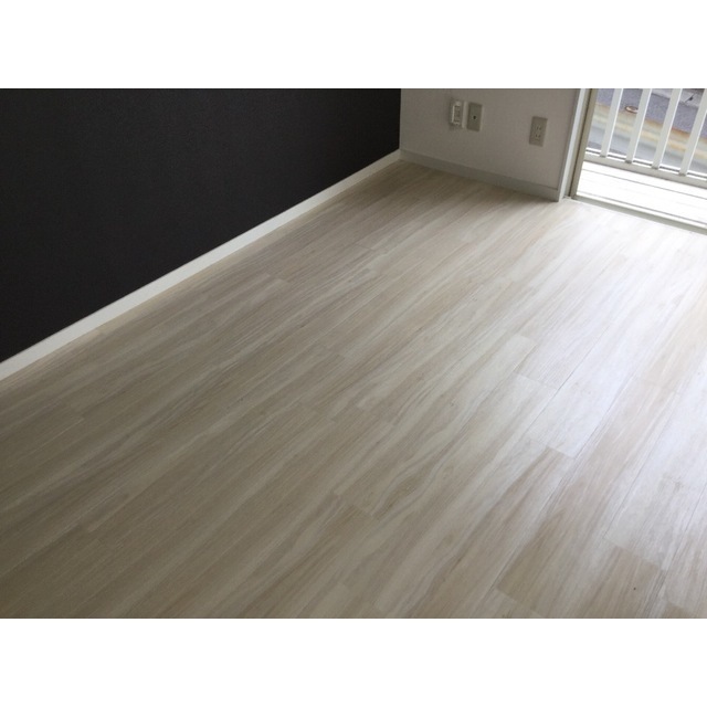 コーポラスフジ リビング