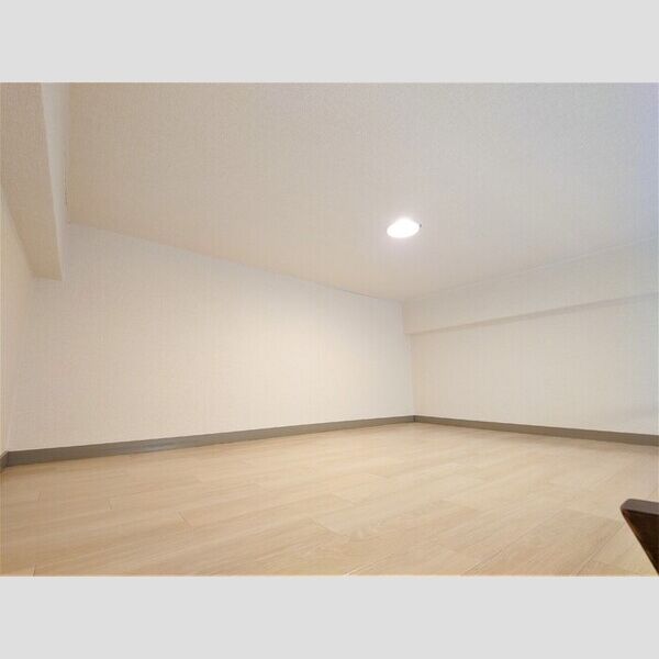 メゾンシャレー102号室 ロフト