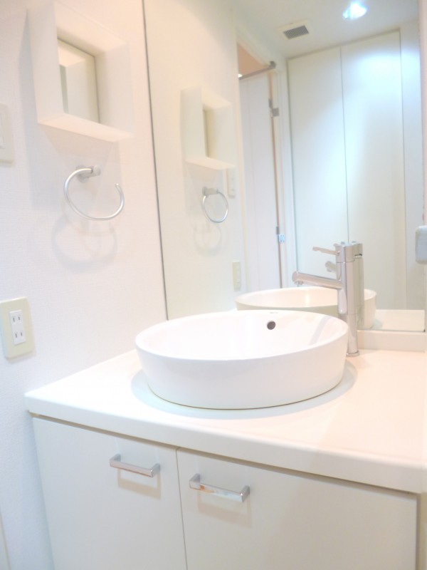 レニール本駒込4階 洗面