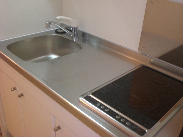 レオネクストひまわりⅡ301号室 部屋その他