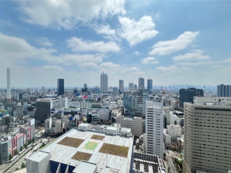 ウエストパークタワー池袋32階 部屋その他