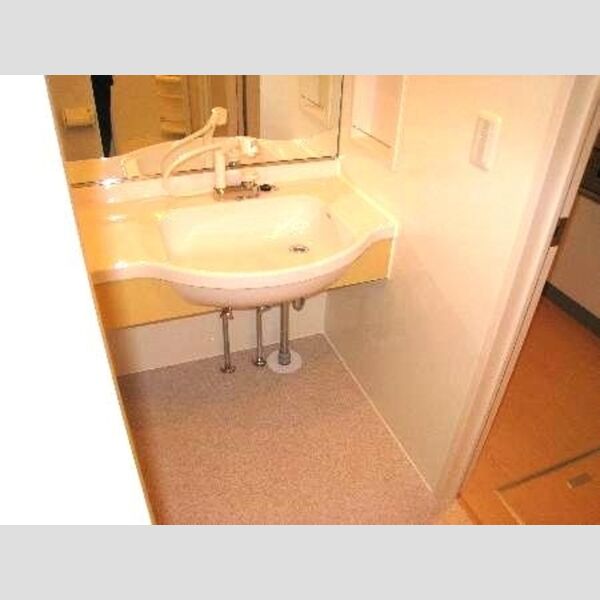 サニーフラット三ツ沢 パウダールーム(洗面)