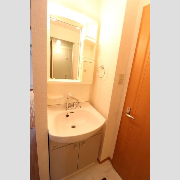 ルミエール202号室 洗面