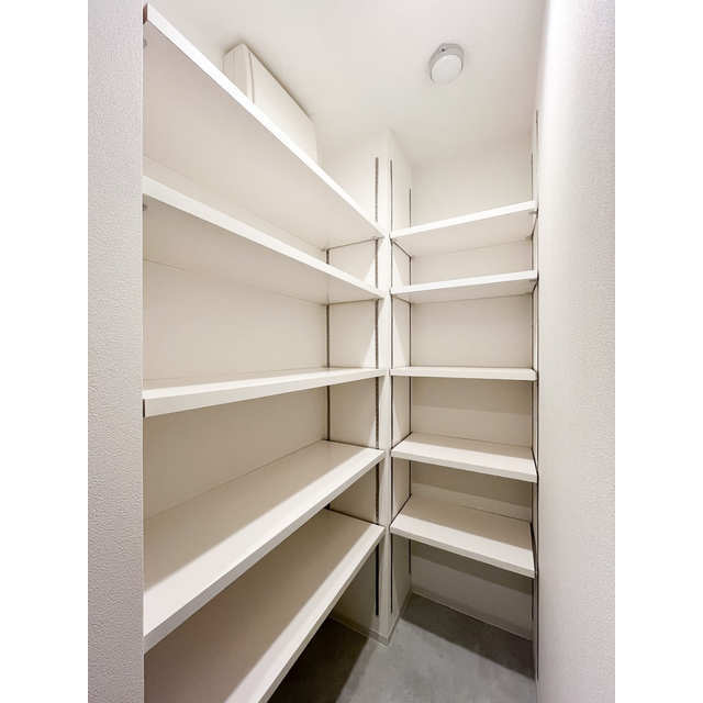 CASA PIAZZA 桜新町0101号室 内観