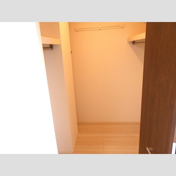 ロイジェントパークス草加手代　C203号室 ウォークインクローゼット