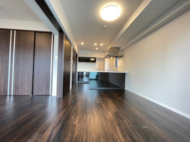 DIPS十条仲原WEST204号室 部屋その他