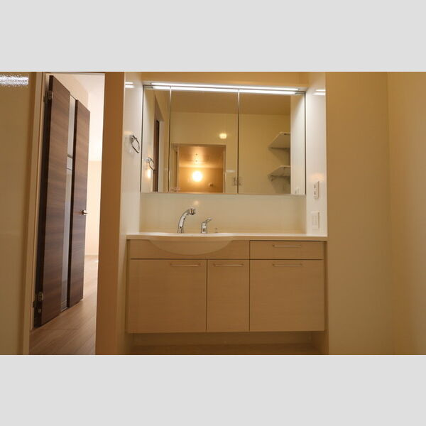 エバープレイス武蔵浦和101号室 洗髪洗面化粧台