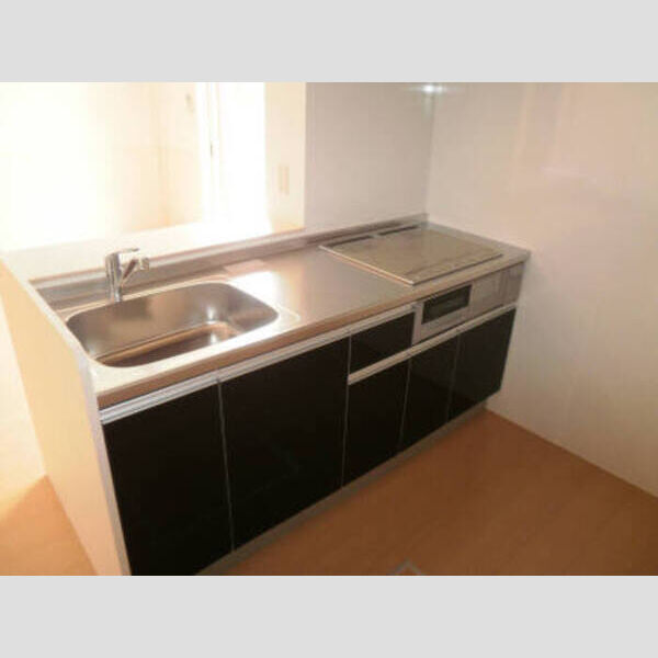 ルピナス　壱番館102号室 ルピナス壱番館102キッチン