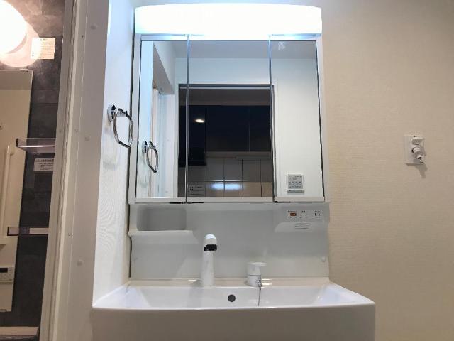 Ｒｅ-Ｃｈｉ 1ｓｔ107号室 洗面