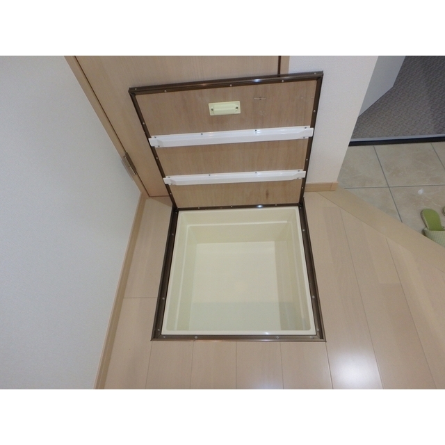 Ｏｗｌ　東川口102号室 内観