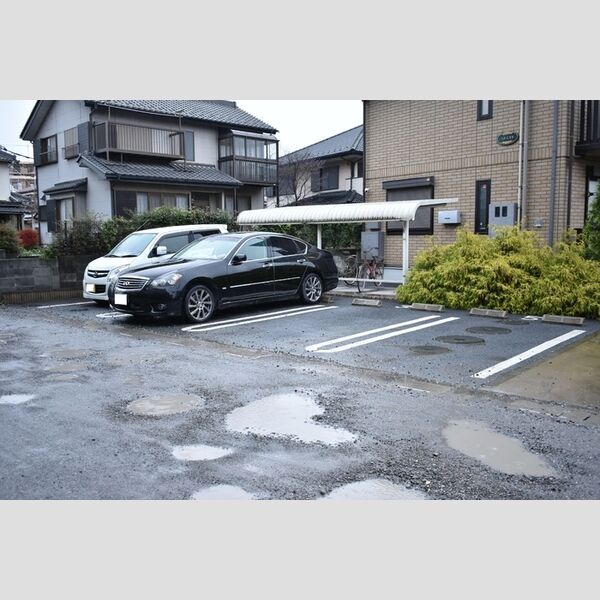 ハナミズキ 駐車場