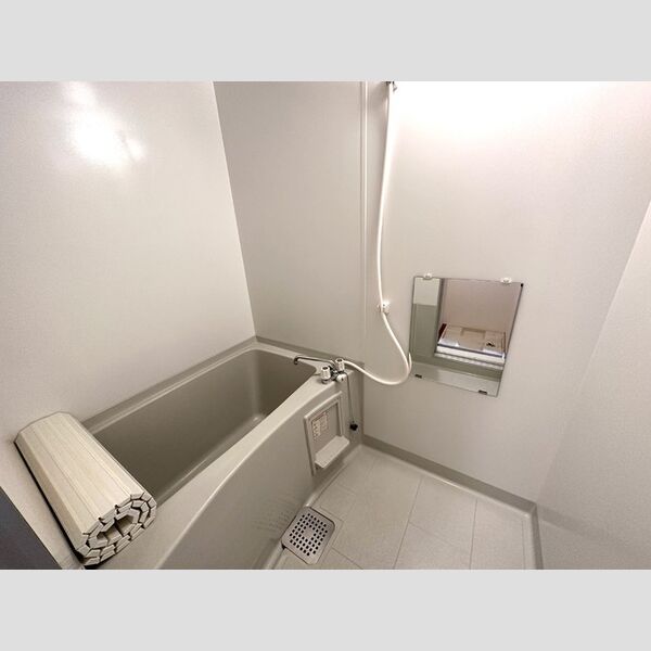 サザンハート東船橋206号室 浴室