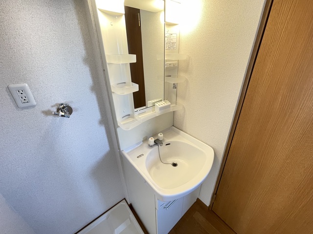 田中マンション0303号室 洗面