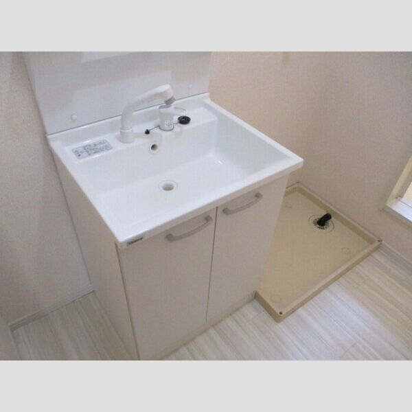 ドリームマウンテン　C101号室 洗髪洗面化粧台