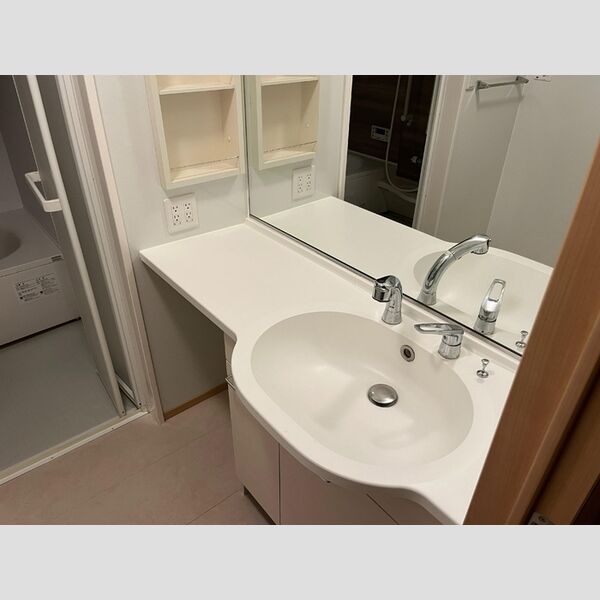 グレイス・フォレ　Ⅰ101号室 洗面化粧台