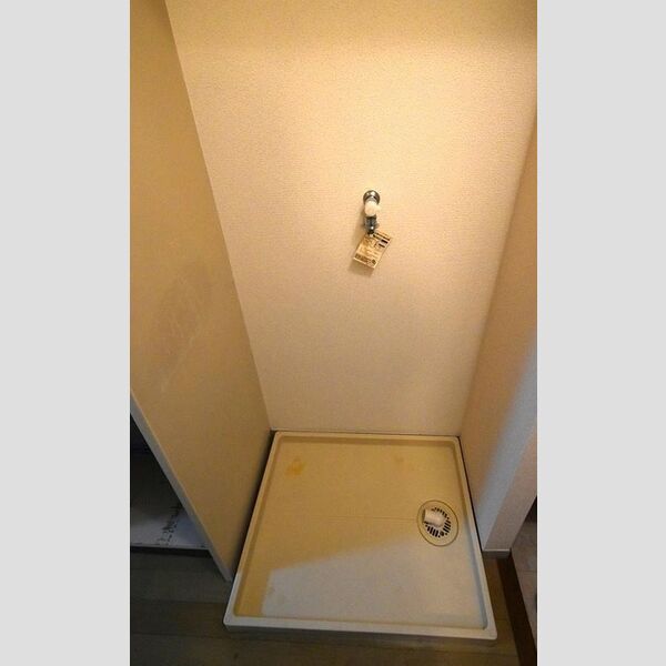 第3イースト203号室 室内洗濯機置き場