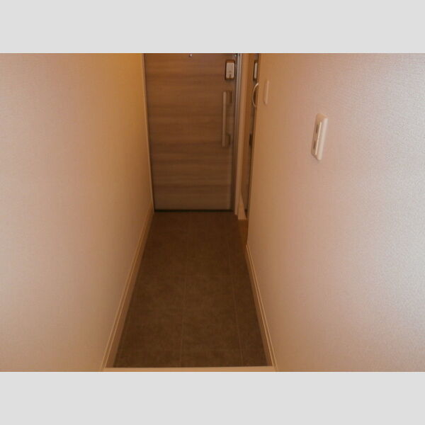 ブランエール白鳥 玄関