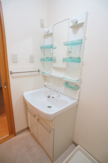 オーキッドヒル0203号室 洗面所