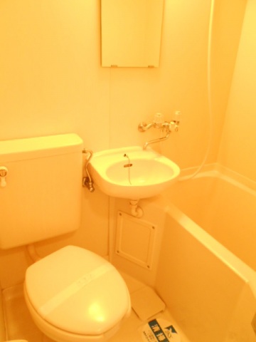 スカイコート綱島第2421号室 洗面