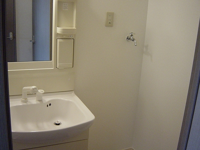 メゾン・ド・ケヤキ101号室 洗面