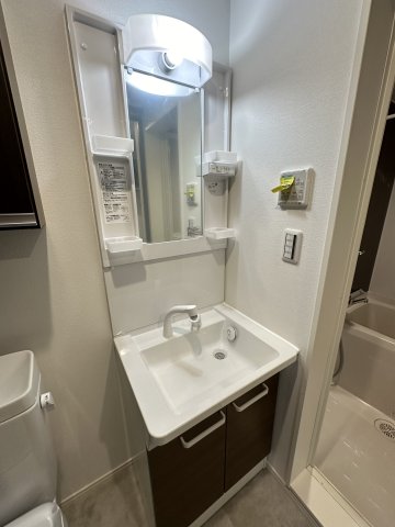 ベイルームヒルズ川崎305号室 洗面