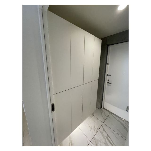 PASEO武蔵小山0102号室 シューズクローゼット