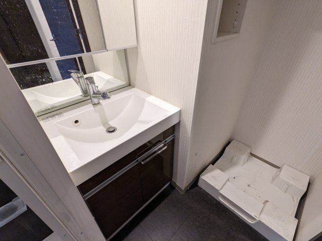 ケーディーエックスレジデンス豊洲431号室 洗面