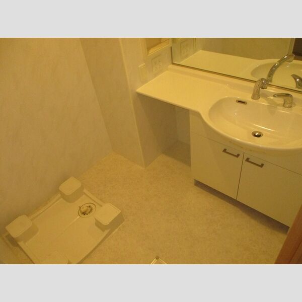 レグルス103号室 洗髪洗面化粧台、室内洗濯機置場