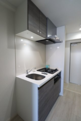 GENOVIA西川口Ⅱ0304号室 別タイプ参考写真