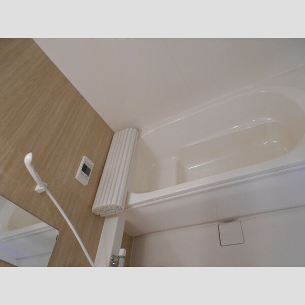 ロイジェントパークス草加手代　B306号室 一坪風呂